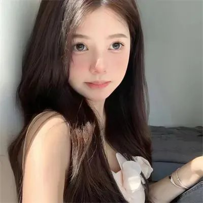 猫在爬